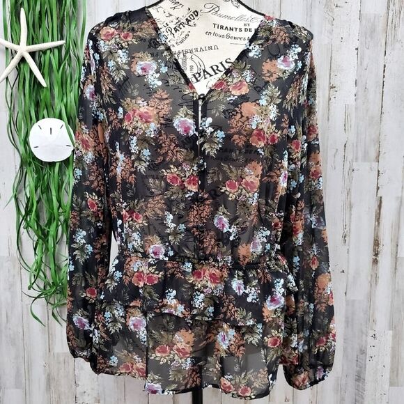 Pleione Floral Sheer Ruffled Blouse Size Small - Picture 1 of 8